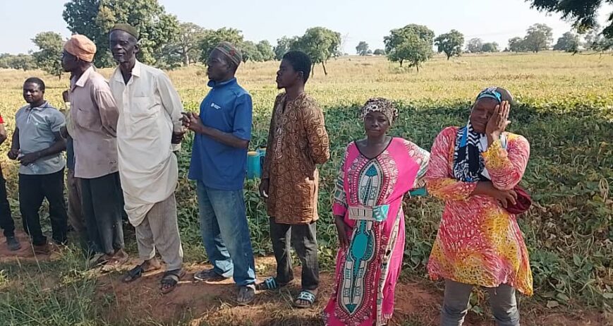 MIL produces biochar from shea cake, rice husk, and sawdust.