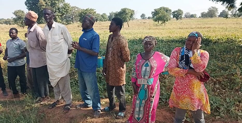 MIL produces biochar from shea cake, rice husk, and sawdust.
