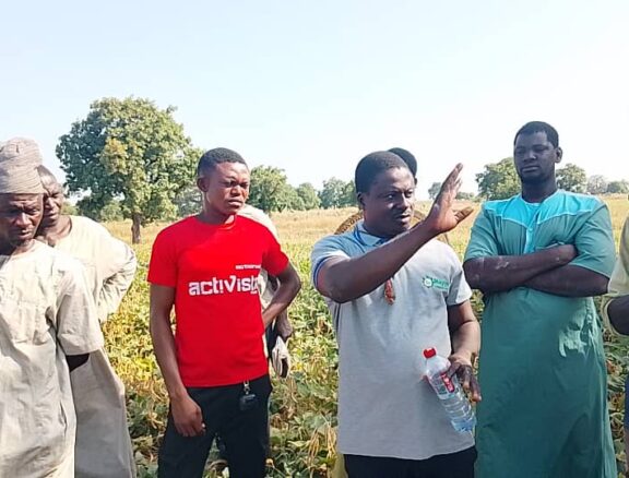 MIL aggregates paddy rice, maize, soybean, and sesame from farmers and supplies bulk quantities to processors and off-taker companies under structured agreements.