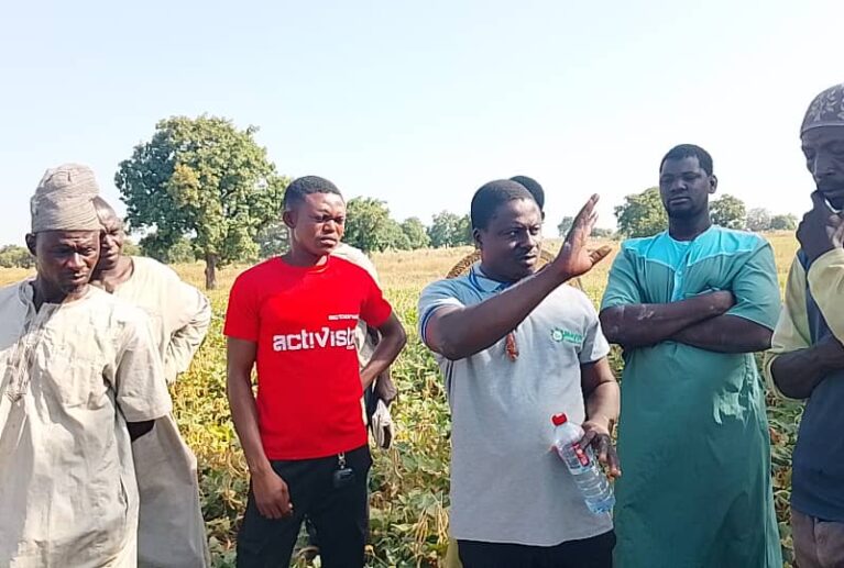 MIL aggregates paddy rice, maize, soybean, and sesame from farmers and supplies bulk quantities to processors and off-taker companies under structured agreements.