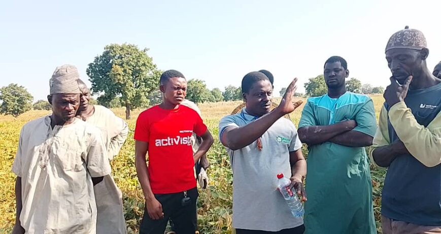 MIL aggregates paddy rice, maize, soybean, and sesame from farmers and supplies bulk quantities to processors and off-taker companies under structured agreements.