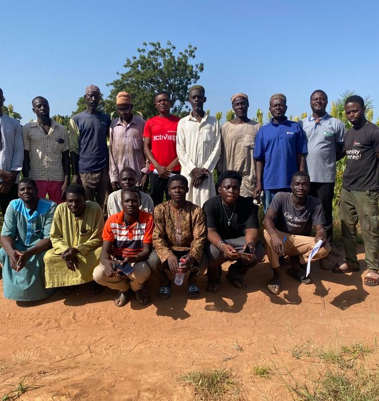 MIL is a certified producer of high-quality seeds for maize, rice, soybean, sesame, groundnut, and cowpea. We ensure varietal purity, quality control through field inspections, proper harvesting and processing, and secure packaging.